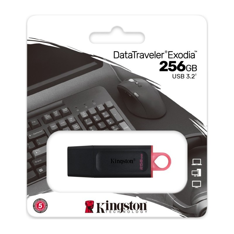 Kingoston Pennetta usb 256GB